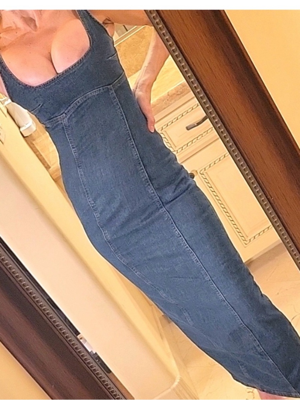 Mustard Seed Blue Denim Midi Dress with Back Zip